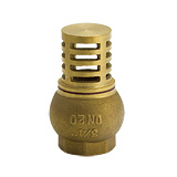 Brass Check Valve